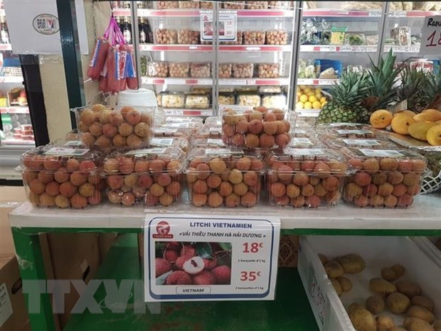 More Hai Duong lychees to be flown to France